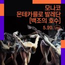 SEO(서)발레단 <이야기가 있는 동화발레 백조의 호수> | 공연프리뷰 | 모나코 몬테카를로 발레단 [백조의 호수]