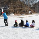 용인대 제일 태권도장 이미지