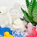 밝은빛유치원 이미지