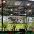 양주 장흥 그래여기구나 계곡식당 애견동반 백숙 내돈내산