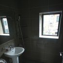 사파동215 이미지