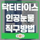 블루메드 이미지