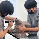 고양이이발관(부천신중동점) 이미지
