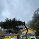 닥박골 휴양림 | [포천 닥박골휴양림] 비가 오는 날에 캠핑이 가고 싶을 땐
