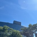 남산9-4 농로 | 서울 용산 ‘그랜드 하얏트 서울(5성급)’ 내돈내산 숙박 후기 - 스탠다드 킹 남산뷰 /SK 제휴