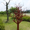 의흥시장 화장실 이미지