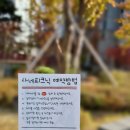사네마켓