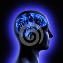 화한의원 이미지