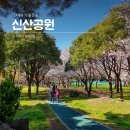 신산공원 이미지