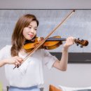 바이올린 쇼핑하우