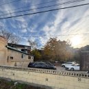 용산-112 | [경주여행] 회덮밥 로컬 맛집 용산회식당 평일 웨이팅 후기