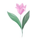 서동지역아동센터 이미지