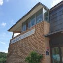 초록잎이 펼치는 세상 이미지