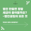 법인 만들면 세금이 정말 줄어들까요? - 법인설립의 모든 것 _ 마포법무사 포레스트법무사
