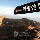 화왕산오토캠프장