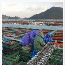 완도화목식품 이미지