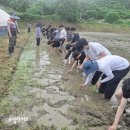 한일고등학교 | 충남공주 한일고등학교, 논에서 배우는 미래교육
