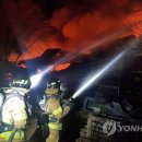 횡성양계 이미지