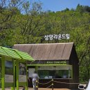 힐 | <강원도여행> 대관령 삼양라운드힐 솔직후기