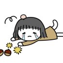 마마짱