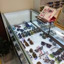 해달안경콘택트 이미지