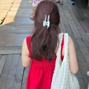 이지엔 푸딩헤어컬러 파이어리레드 갈색모 염색 후기