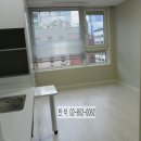 비즈트위트 레인보우 이미지