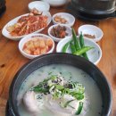 천수 한방 삼계탕(수락산역점) | [수락산역 삼계탕집] 천수한방삼계탕 국물맛이 남다르지