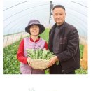 싱싱팜 이미지