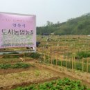 신길농장 이미지