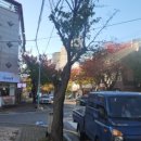 뷔페식시골밥상
