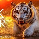 12K HDR 돌비 비전의 역동적인 컬러풀 애니멀 올트라 이미지