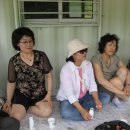 규농장 이미지