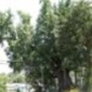 이백면 외동마을 이미지