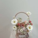 늘온플레르