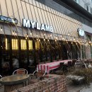 마이램MYLAMB