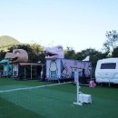 두리김밥 이미지