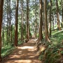 죽향리남원추어탕 이미지