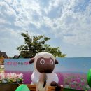 할리스안성팜랜드점