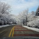 UR(파주시)-[책향기숲길]-하-6 | 2025년 11월 - 2026년 2월 밀린 일상 기록