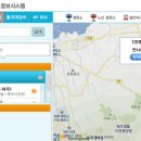 먼나머루 이미지