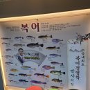 [대전 맛집] 복어의 다양한 맛을 느낄 수 있는, 신성동 &#39;복덩어리 본점&#39; 후기 🐡