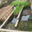 생태연못 이미지