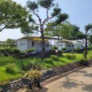 벗과뱃나루 이미지