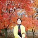 영자 이미지