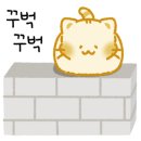 엘림지역아동센터 이미지