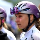 B.F boxing 이미지