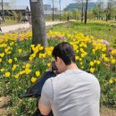 새울병원 | 부천 건강검진 병원 추천 새울병원 후기(임산부 검진 항목이랑 남편 대장내시경 대소동)