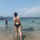 제주해양레저사계 네이버블로그