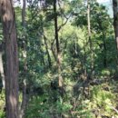 남양주덕송초등학교 이미지